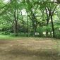 野田の清水公園でキャンプしてみた！お風呂やトイレ、バンガローはどんな感じ？4歳の子供も楽しめたよ！